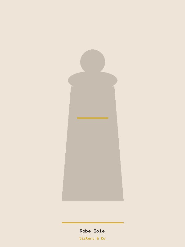 Robe Soie Minimaliste